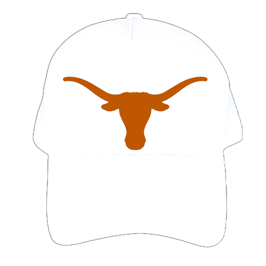 Texas Hat