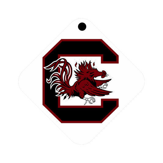 S. Carolina Keychain