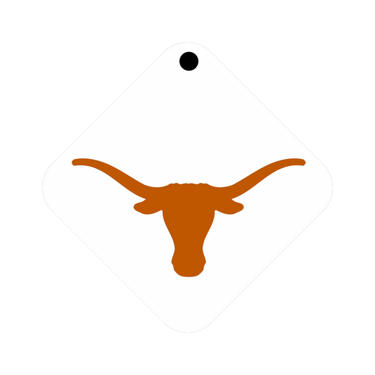 Tennessee Keychain