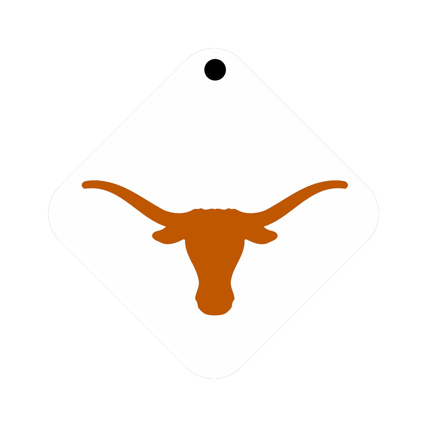 Texas Keychain