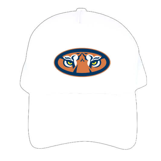 Aub Tigers Hat